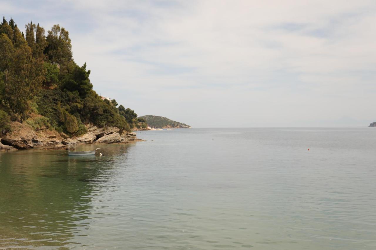 Ftelia Studios Skiathos Town Bagian luar foto